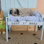 O'jardin Bed & Breakfast