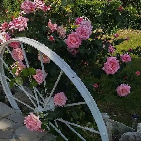 O'jardin Bed and breakfast