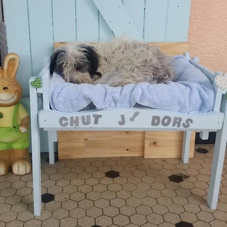 O'jardin Отель типа 