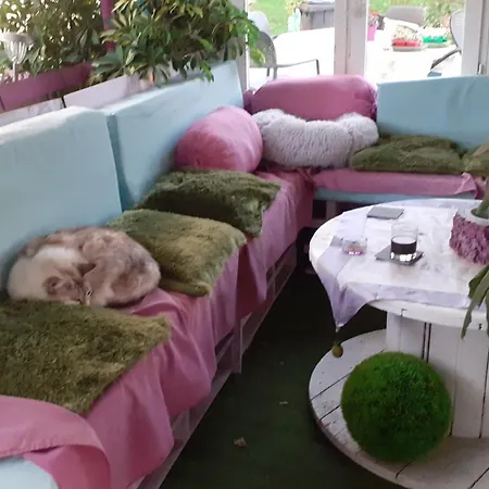 Bed and breakfast O'jardin *