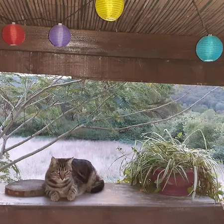 Bed and breakfast O'jardin