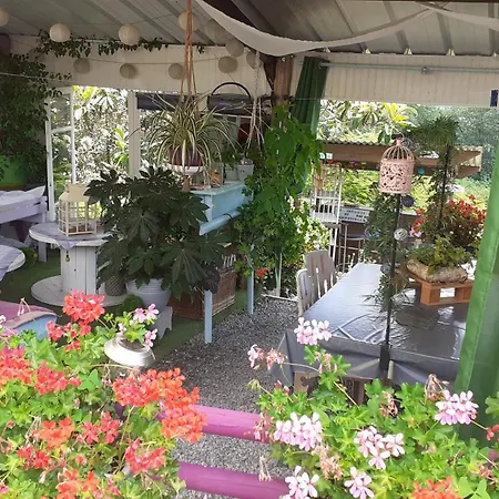 O'jardin *