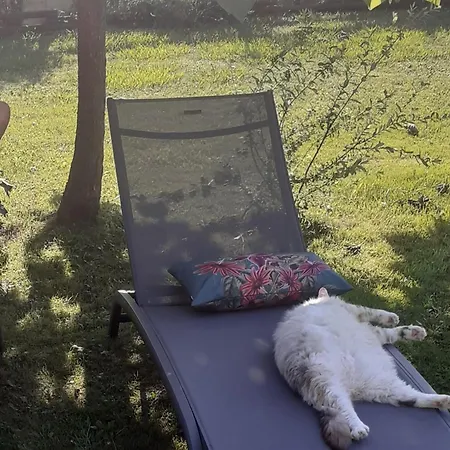 O'jardin Arthez-de-Bearn