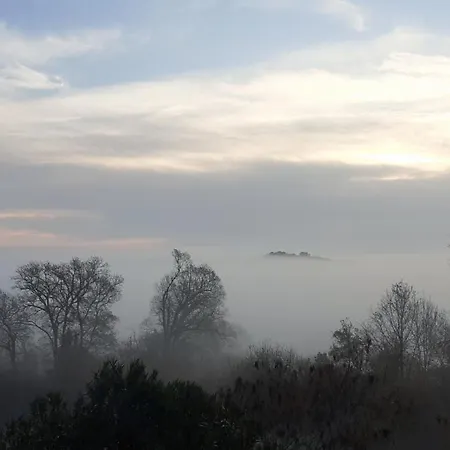 O'jardin ベッド・アンド・ブレックファスト