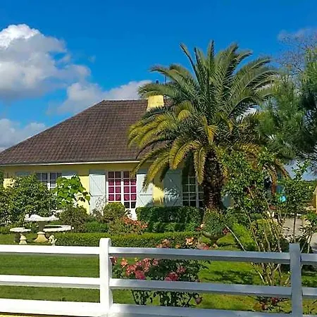 Bed and breakfast O'jardin *