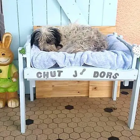 Bed and breakfast O'jardin *