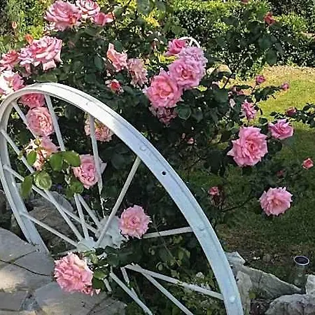 Bed and breakfast O'jardin *