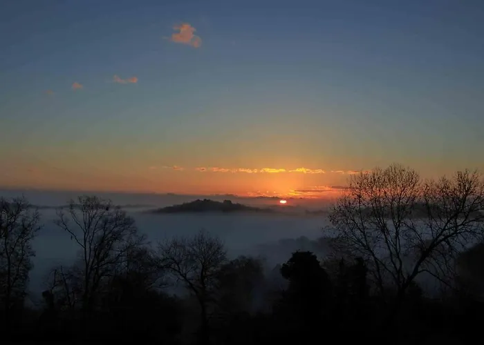 O'jardin Bed & Breakfast Arthez-de-Bearn