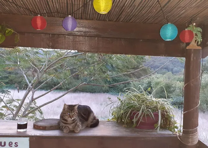 Bed & Breakfast O'jardin